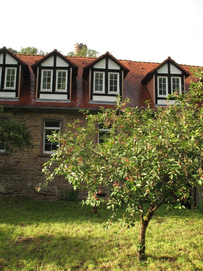 فندق Neuleiningenفي  Gastehaus Felsenmuhle Im Tal الغرفة الصورة